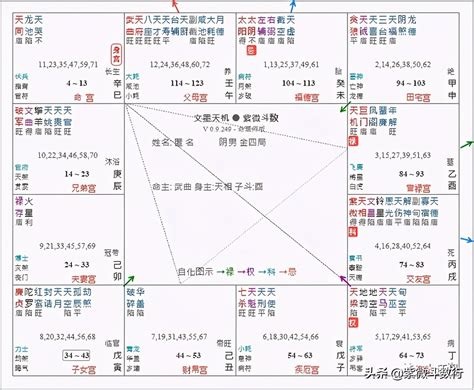 紫微斗數 天同|天同星在命宮